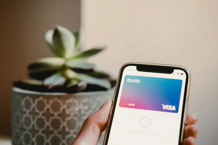 A person holding a smartphone with a Revolut Visa card displayed on the screen, in front of a potted succulent plant.